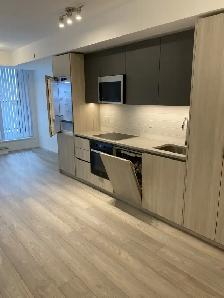 new 1 1 condo at 400 King St, move in now - Photo 9