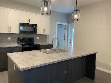 Beautiful Duplex with Double Attached Garage in Blackfalds - Photo 9