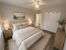 FERGUSLIE PARK APTS - 1 BDRM Suite - Available Now! - Photo 3