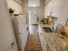 FERGUSLIE PARK APTS - 1 BDRM Suite - Available Now! - Photo 5