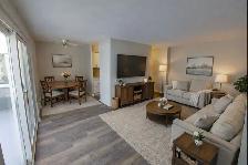 FERGUSLIE PARK APTS - 1 BDRM Suite - Available Now! - Photo 6