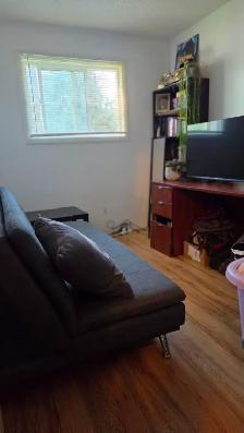 Very close to UofA, Scona, Whyte Ave, Shops, Bus, Short ride DT - Photo 7
