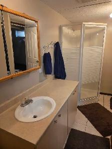 Spruce Grove Basement for Rent - Photo 9