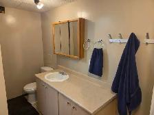 Spruce Grove Basement for Rent - Photo 10