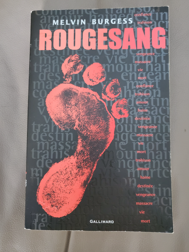 BON ROMAN NEUF FRANCAIS DE MALVIN BURGUES ROUGESANG 382PAG $5.00