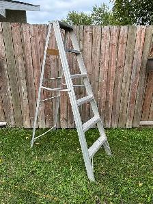 Aluminum 6’ Ladder