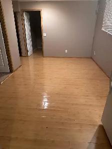2 Bedroom 1 Bath Bi Level Lower Level Suite in Martindale NE - Photo 7