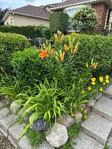 Housekeeper Needed - Photo 3