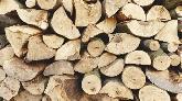 BOIS DE CHAUFFAGE-FIREWOOD  A VENDRE