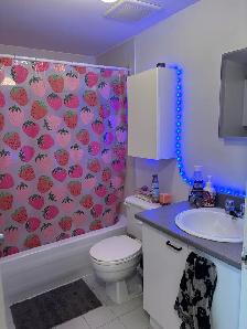 Appartement 3 1/2  à louer - St-Hubert - Photo 6
