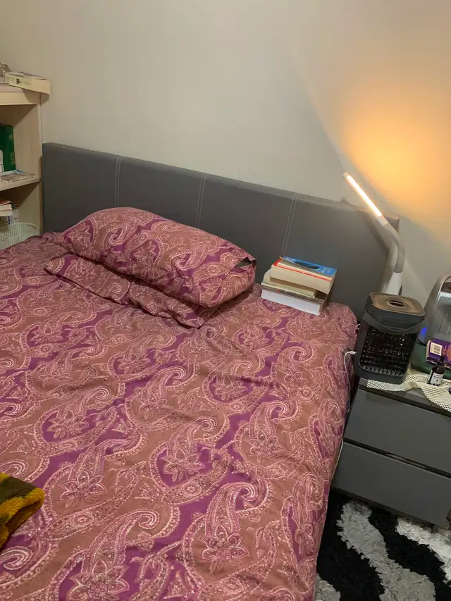 Queen Bed for immediate Sale