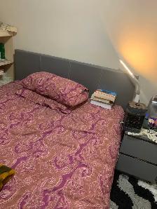 Queen Bed for immediate Sale