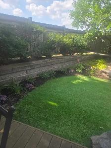 lawn maintenance crew member needed
