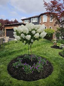 lawn maintenance crew member needed - Photo 2