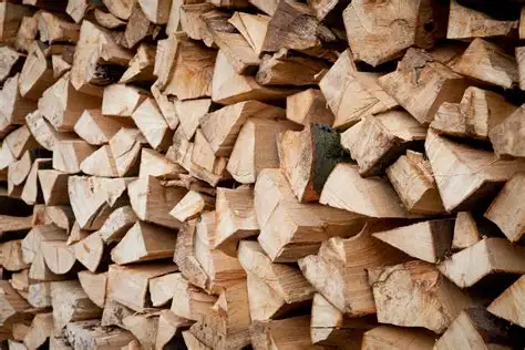 BOIS DE CHAUFFAGE A VENDRE