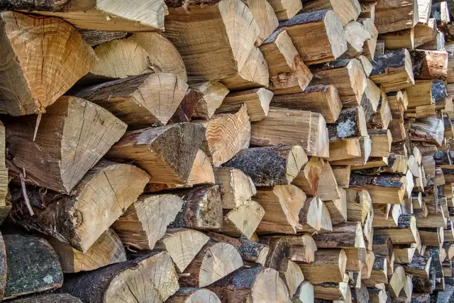 BOIS DE CHAUFFAGE A VENDRE