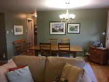 Furnished 2 Bedroom Condo with patio/pond view in Paradise - Photo 3
