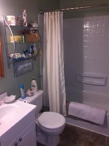 Furnished 2 Bedroom Condo with patio/pond view in Paradise - Photo 8