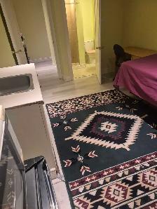 1 Bedroom Basement for rent in Milton available - Photo 2