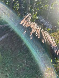 Used fence posts for sale. - Photo 2