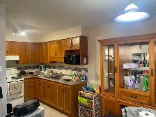 Two Bedroom Bright Basement Apartment