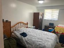 Two Bedroom Bright Basement Apartment - Photo 2