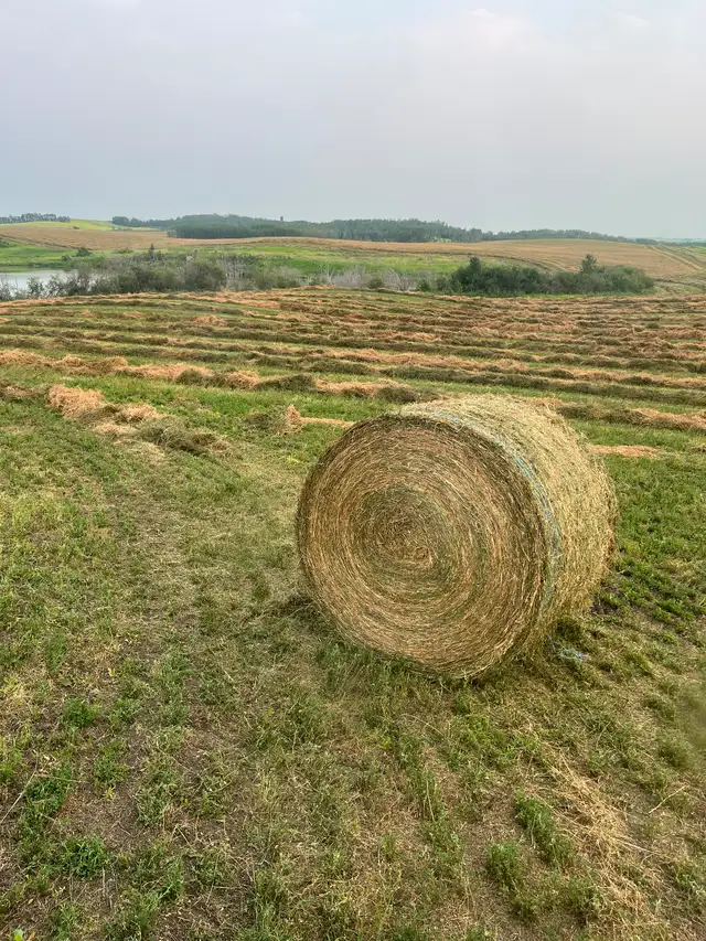 2026 Hay For Sale