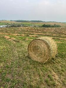 2026 Hay For Sale