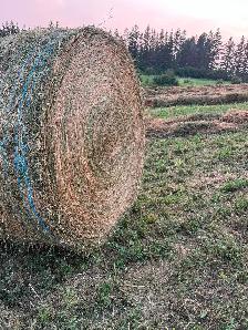 2026 Hay For Sale - Photo 3