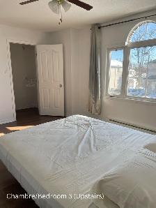 Chambres spacieuses meublée – Cour, parking inclus, près du bus - Photo 20