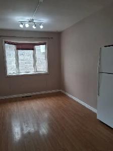 Bright, Renovated 2 Bed Main Floor in Allendale - Pet Friendly - Photo 4