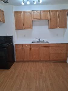 Bright, Renovated 2 Bed Main Floor in Allendale - Pet Friendly - Photo 5