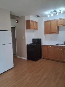 Bright, Renovated 2 Bed Main Floor in Allendale - Pet Friendly - Photo 6