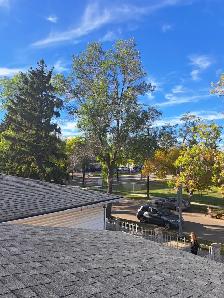 Bright, Renovated 2 Bed Main Floor in Allendale - Pet Friendly - Photo 9