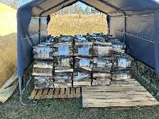 Firewood for sale-pickup Saskatoon and Corman Park