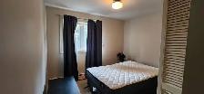 Room for Rent - Photo 4
