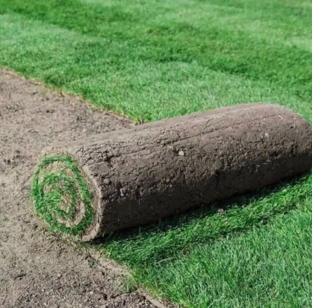 Sod installation