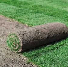 Sod installation