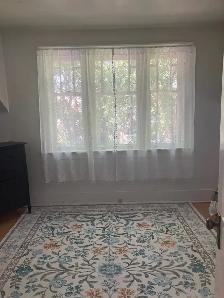 Furnished 3-Bedroom Character Home, 1 Block from U of S & RUH - Photo 8