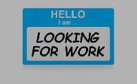 LOOKING FOR EMPLOYMENT