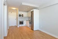 renovated one bedroom, river and gerrard - ID 2146 - Photo 4