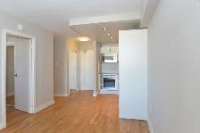 renovated one bedroom, river and gerrard - ID 2146 - Photo 5
