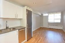 renovated one bedroom, river and gerrard - ID 2146 - Photo 6