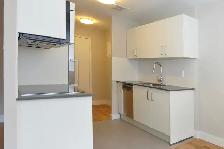 renovated one bedroom, - ID 107 - Photo 8