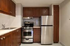 one bedroom apartment downtown near McGill - ID 1112