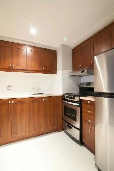 one bedroom apartment downtown near McGill - ID 1112 - Photo 2