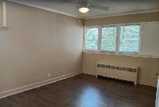 LARGE 1 BEDROOM APARTMENT - DOWNTOWN - Photo 3