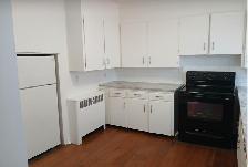 LARGE 1 BEDROOM APARTMENT - DOWNTOWN - Photo 5