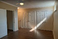 LARGE 1 BEDROOM APARTMENT - DOWNTOWN - Photo 6