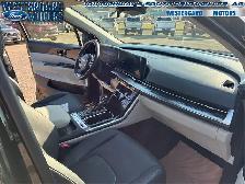 2024 Kia Carnival SX - Premium Audio - Leather Seats - Photo 13
